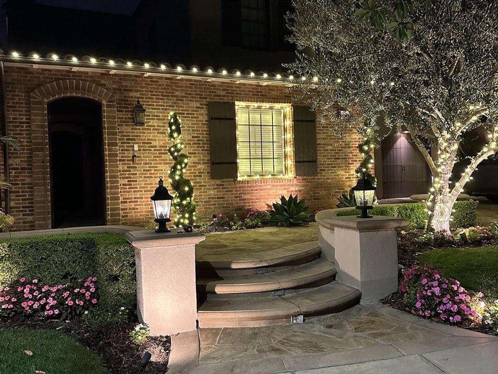 Brick home entry with lit topiaries and olive tree